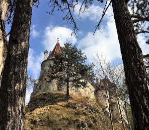 romenia-transilvania-castelo-arvores-min-1.jpg